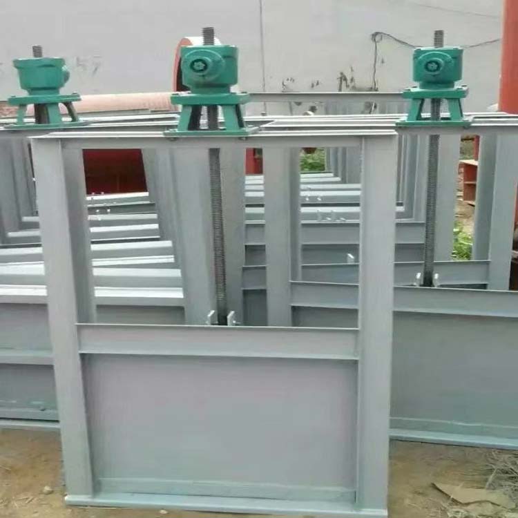 機（jī）閘一體閘門
